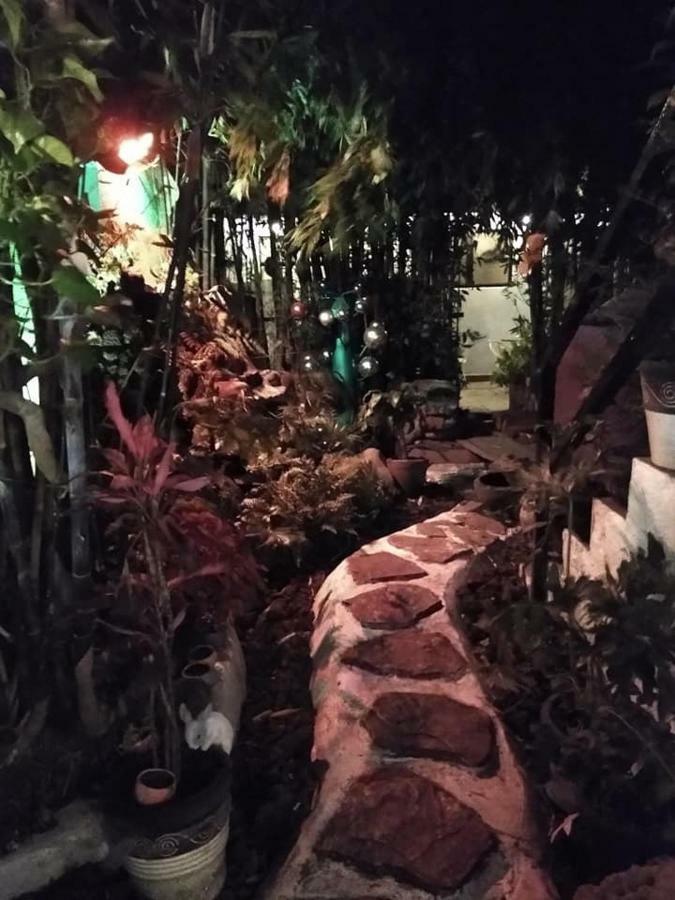 Mi Aldea Holistica Hotel México DF Exterior foto